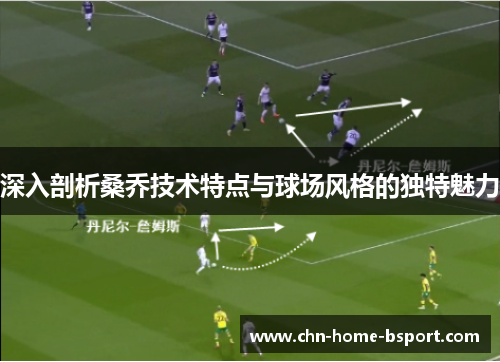 深入剖析桑乔技术特点与球场风格的独特魅力