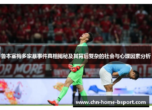 鲁本塞梅多家暴事件真相揭秘及其背后复杂的社会与心理因素分析