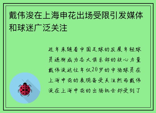 戴伟浚在上海申花出场受限引发媒体和球迷广泛关注